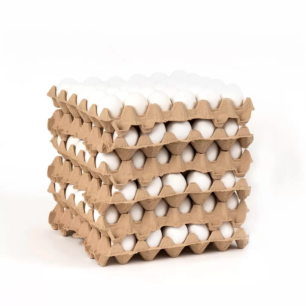 [H1] BANDEJA HUEVOS 30U